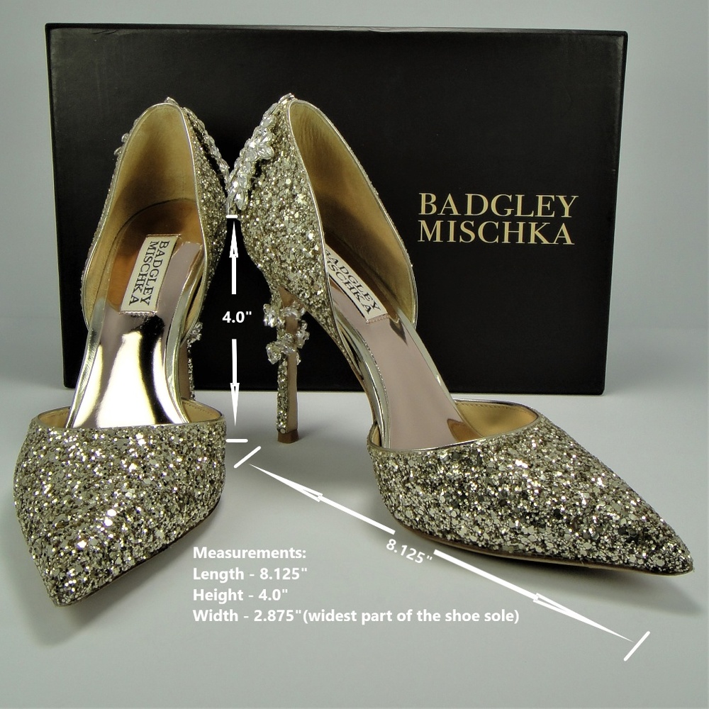 Badgley Mischka Women's Vogue Iii Pump Size 6